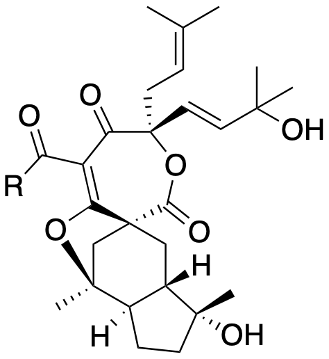 Structure 401: hypehenol B, hypehenol C — caged, seco, spiroindanes