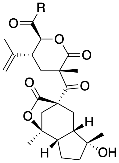 Structure 430: hypermonol H, hypermonol L — cisHydrindane, seco, spiroindanes