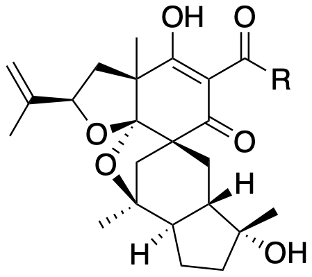 Structure 410: spiropatuol D, spiropatuol B, spiropatuol C — caged, spiroindanes, transHydrindane