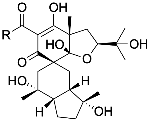 Structure 396: spiropatuol G, spiropatuol H — cisHydrindane, spiroindanes