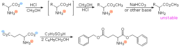 Two amino-acid esterification schemes: Fischer esterification with HCl/methanol, and aspartic acid dibenzyl ester via TsOH