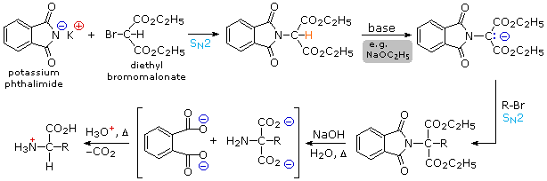 Gabriel synthesis scheme: potassium phthalimide and diethyl bromomalonate, alkylation, then hydrolysis and decarboxylation to an amino acid