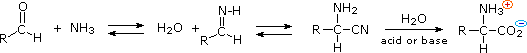Strecker synthesis: aldehyde plus ammonia forms imine, then cyanide gives alpha-aminonitrile hydrolyzed to amino acid