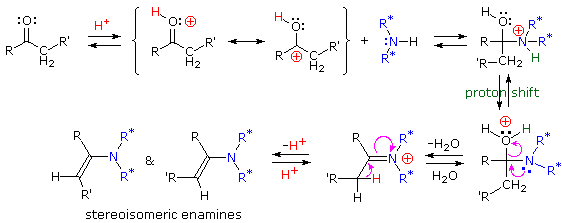 Mechanism of enamine formation: ketone plus amine gives carbinolamine, then iminium ion, then stereoisomeric enamines