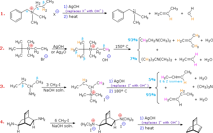 Four Hofmann elimination examples; quaternary ammonium hydroxides heated to give the less-substituted (Hofmann) alkenes plus tertiary amines