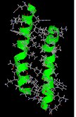 Model of melittin from bee venom, alpha-helices highlighted green, showing half of its quaternary structure