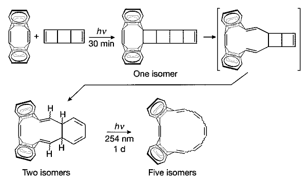 Photochemical synthesis of Huckel and Mobius annulenes: hv 30 min then hv 254 nm 1 d, giving two then five isomers