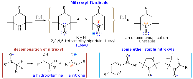 Nitroxyl radicals: oxidation of a tetramethylpiperidine to TEMPO with resonance to N-O; decomposition to hydroxylamine and nitrone, plus other stable nitroxyls