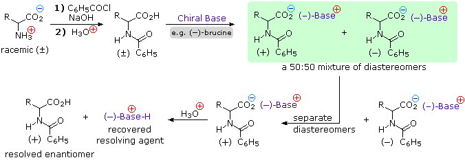 Resolution of a racemic amino acid via diastereomeric brucine salts of its benzamide, separation, then acid to give resolved enantiomer
