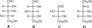 Four Fischer-projection aldopentoses labeled A-D, options for identifying a D-aldopentose