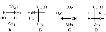 Four Fischer-projection 2-amino-3-hydroxybutanoic acids labeled A-D, choices for threonine