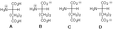 Four ionization states of glutamic acid labeled A-D differing in charge on amino and carboxyl groups