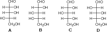 Four Fischer-projection aldopentoses labeled A-D, options for selecting (+)-arabinose