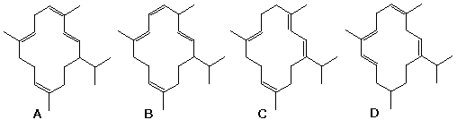 Four 14-membered-ring diterpene (cembrene-type) structures labeled A-D with differing double-bond placement