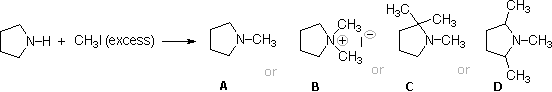 Pyrrolidine plus excess methyl iodide reacting; products A-D including N-methylpyrrolidine and quaternary ammonium salt