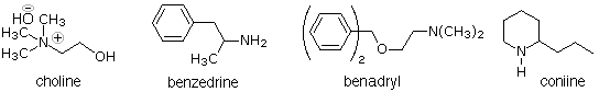 Structures of four active amines: choline, benzedrine, benadryl, coniine
